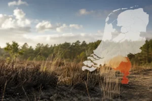 Verhoogd risico op natuurbranden in Limburg en andere regio's